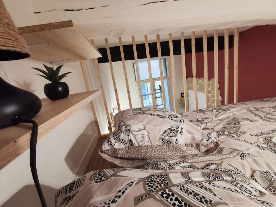 Centre Ville Montpellier - Appartement Au Coeur De L'Ecusson Dış mekan fotoğraf